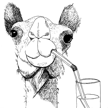 drawing of a camel drinking from a straw